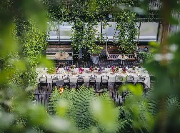 The Mandrake - Jurema Terrace South Side 04